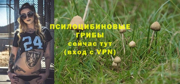 сатива Баксан