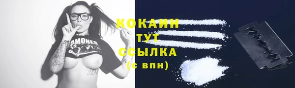 сатива Баксан