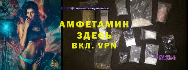 сатива Баксан